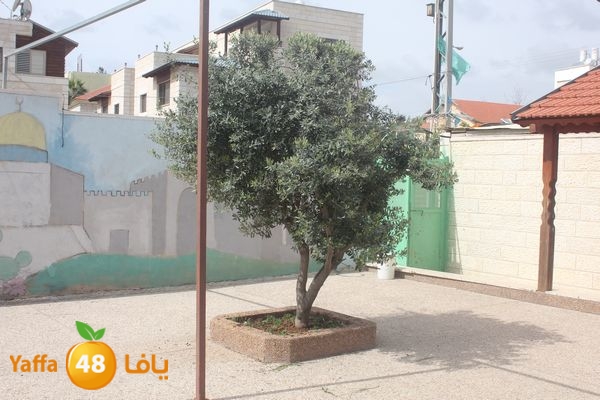 zohormasjednoor34 (25).JPG